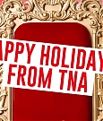 Happy_Holidays_From_TNA21_-_YouTube_MKV_000001766.jpg