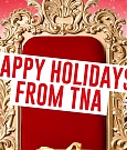 Happy_Holidays_From_TNA21_-_YouTube_MKV_000002213.jpg