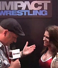 Brooke_Tessmacher_Interview_Jakks_TNA_IMPACT_SDCC_2012_mp4_000036992.jpg