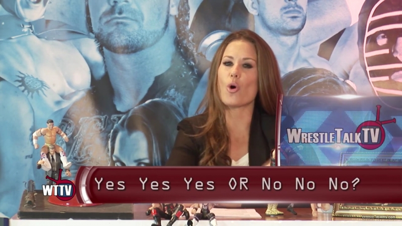 TNA_s_Brooke_Hosting2C_All_Female_Panel2C_Super_Fan_Returns21_-_WTTV_S4_Ep23_mp4_000155490.jpg