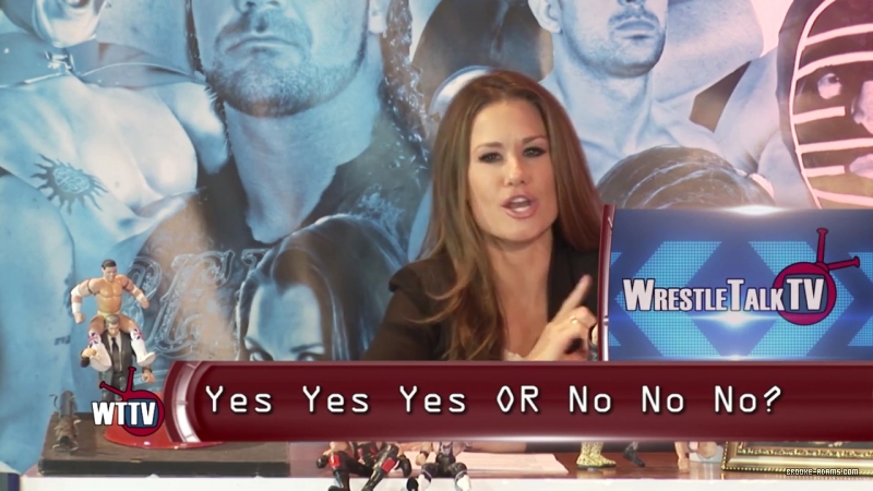 TNA_s_Brooke_Hosting2C_All_Female_Panel2C_Super_Fan_Returns21_-_WTTV_S4_Ep23_mp4_000156085.jpg
