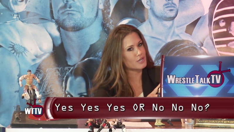 TNA_s_Brooke_Hosting2C_All_Female_Panel2C_Super_Fan_Returns21_-_WTTV_S4_Ep23_mp4_000156609.jpg