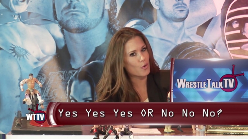 TNA_s_Brooke_Hosting2C_All_Female_Panel2C_Super_Fan_Returns21_-_WTTV_S4_Ep23_mp4_000157106.jpg