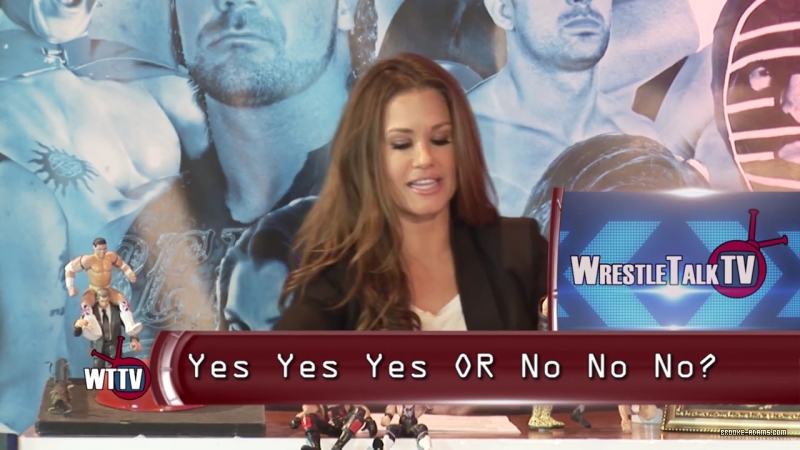 TNA_s_Brooke_Hosting2C_All_Female_Panel2C_Super_Fan_Returns21_-_WTTV_S4_Ep23_mp4_000158218.jpg