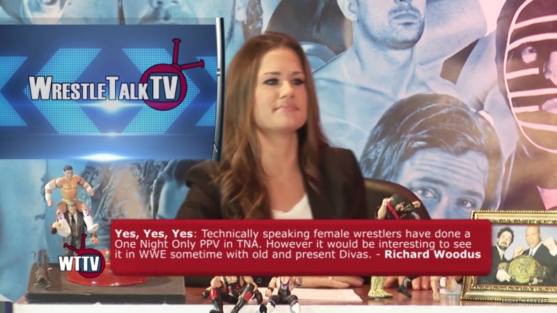 TNA_s_Brooke_Hosting2C_All_Female_Panel2C_Super_Fan_Returns21_-_WTTV_S4_Ep23_mp4_000227730.jpg