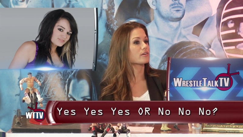 TNA_s_Brooke_Hosting2C_All_Female_Panel2C_Super_Fan_Returns21_-_WTTV_S4_Ep23_mp4_000286124.jpg